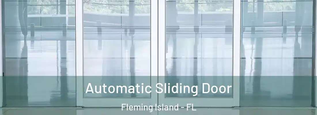 Automatic Sliding Door Fleming Island - FL