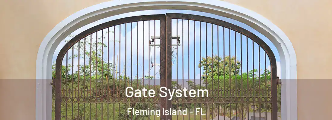 Gate System Fleming Island - FL