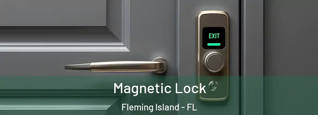 Magnetic Lock Fleming Island - FL